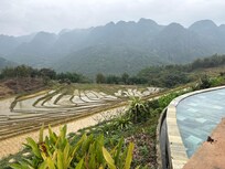 Overlooking rice fields