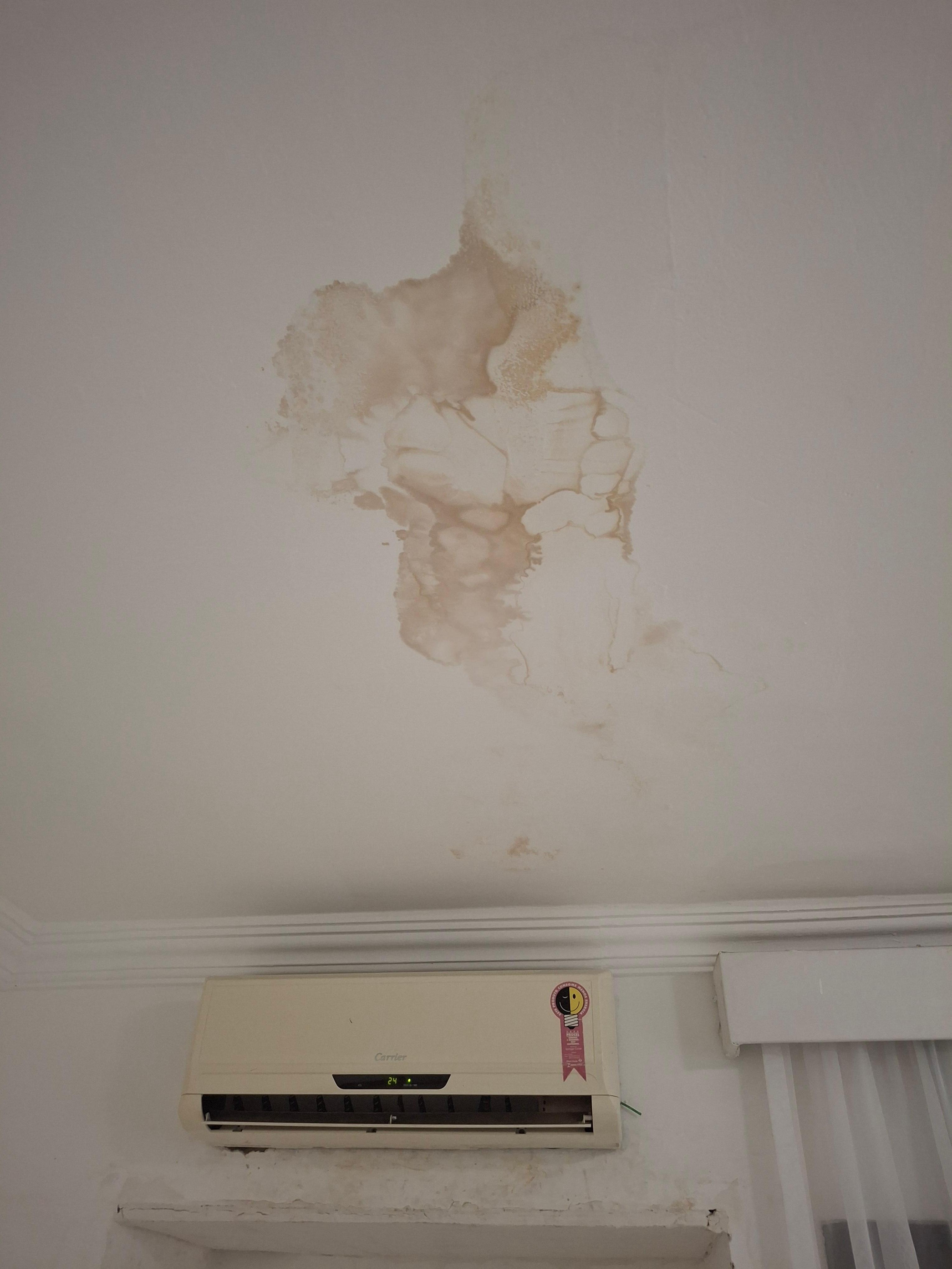 Parese e teto mofados 