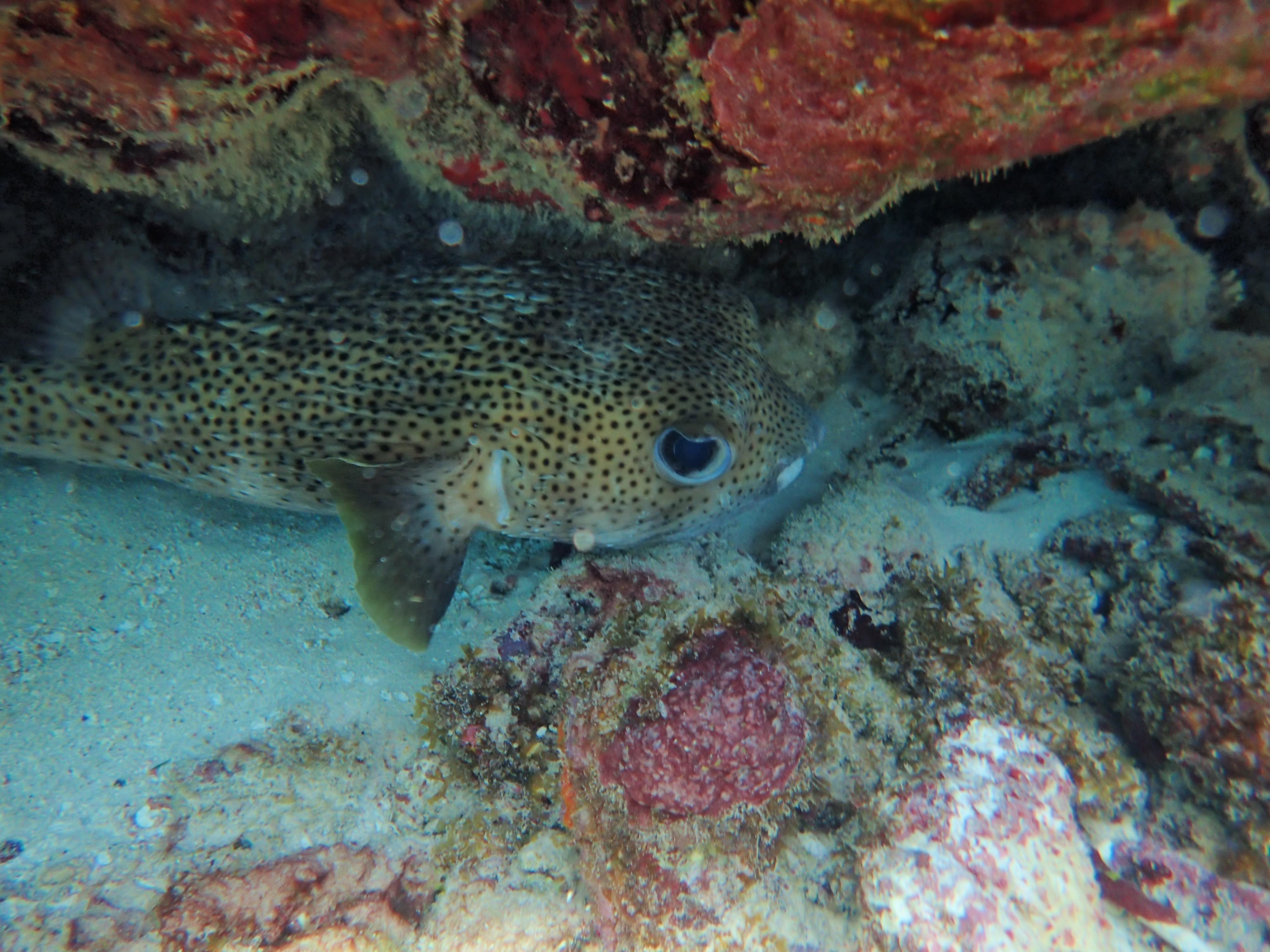 Backyard...about 50-100 feet from shore