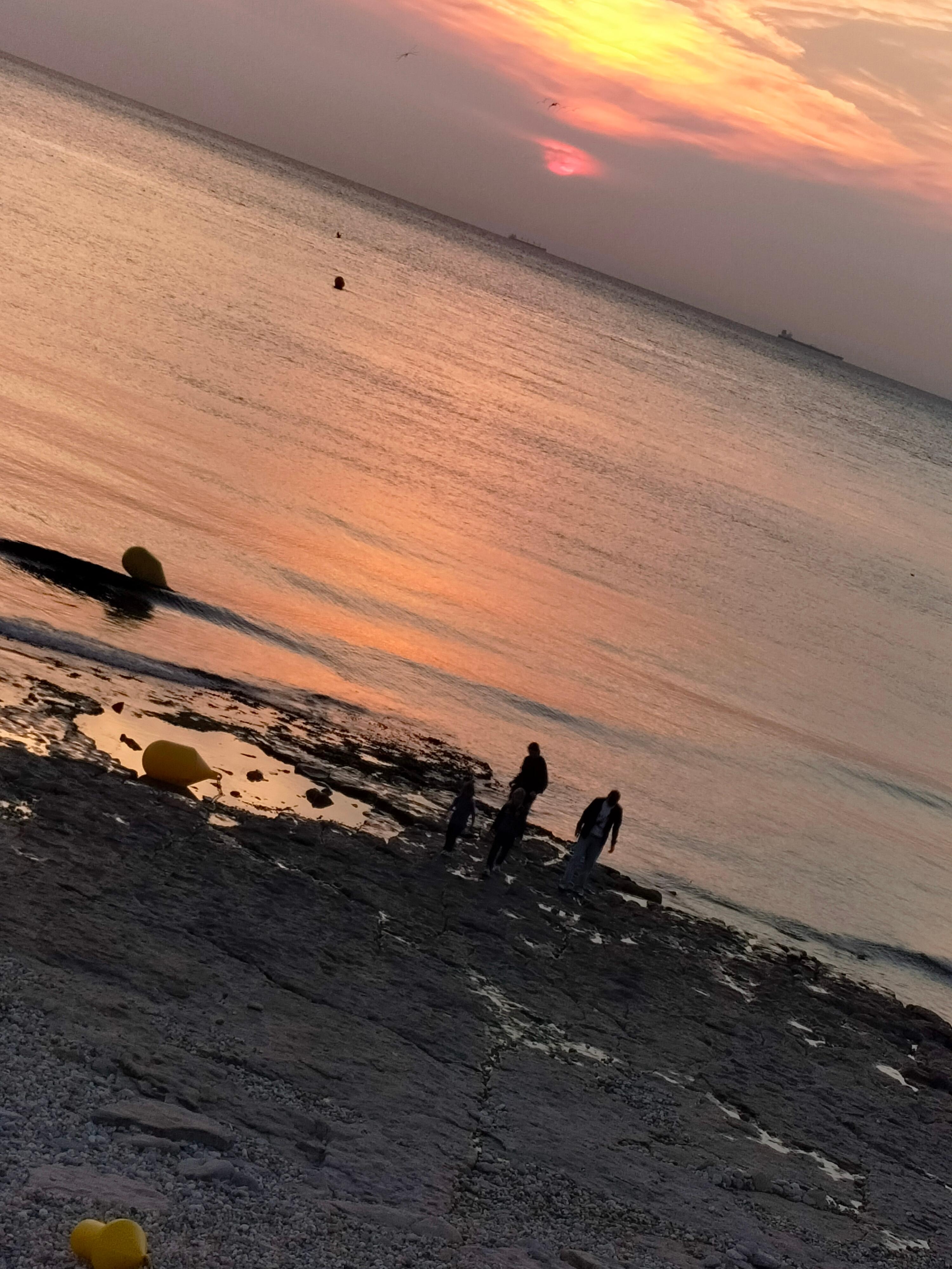 Blick vom Wohnzimmer