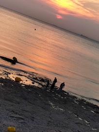 Blick vom Wohnzimmer