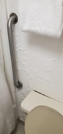 Black Mold