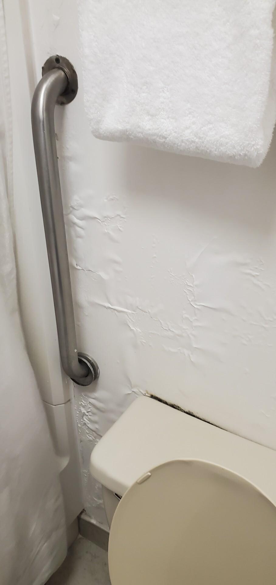 Black Mold