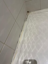 Mold in shower grout was never removed