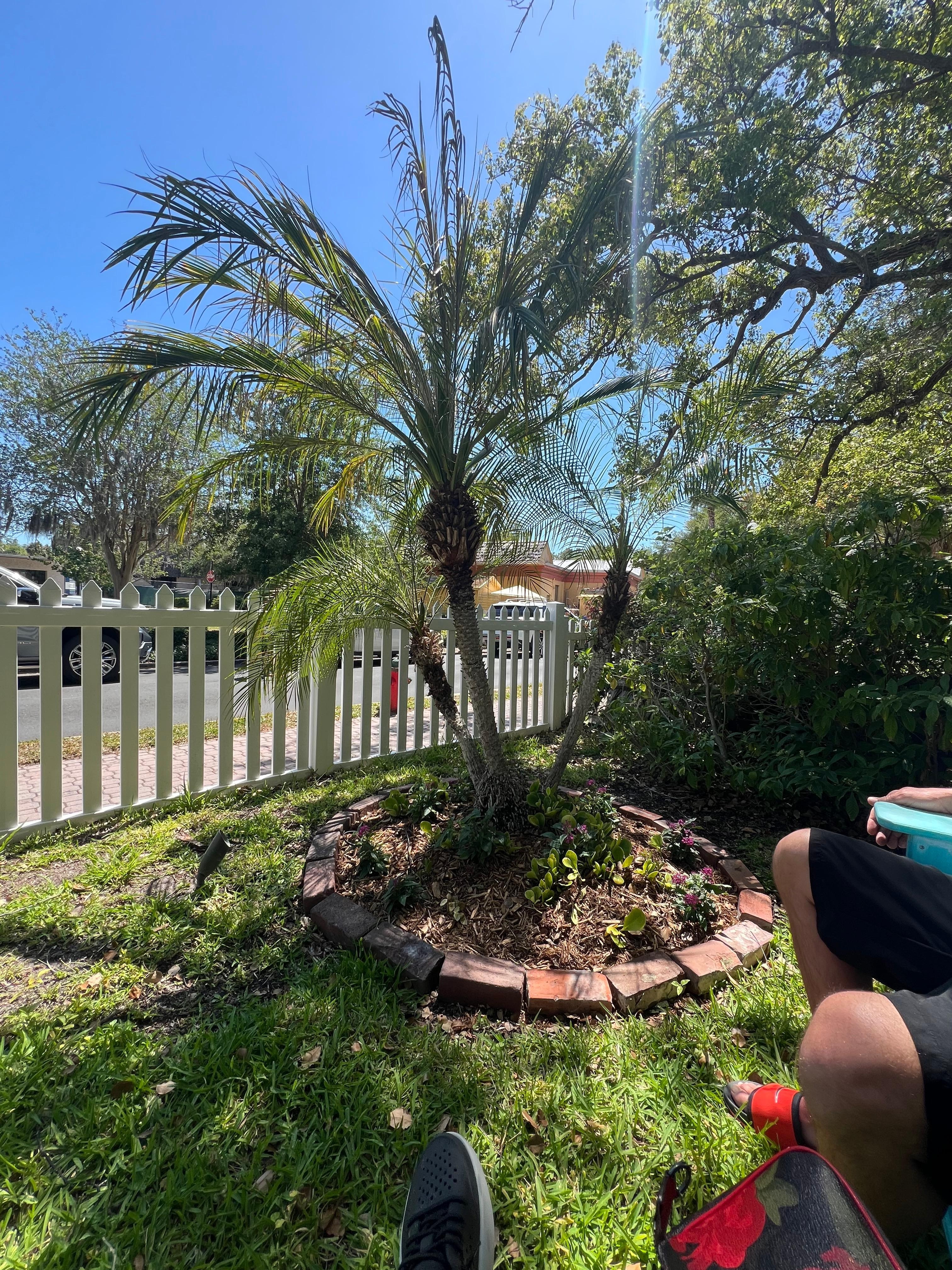 Small part of the garden 