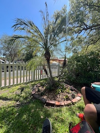 Small part of the garden