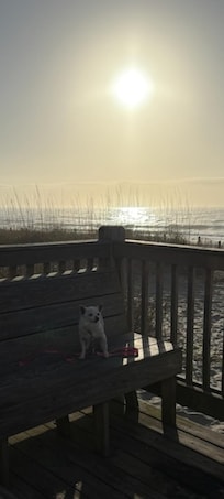 ❤️ Myrtle Beach 🏖️