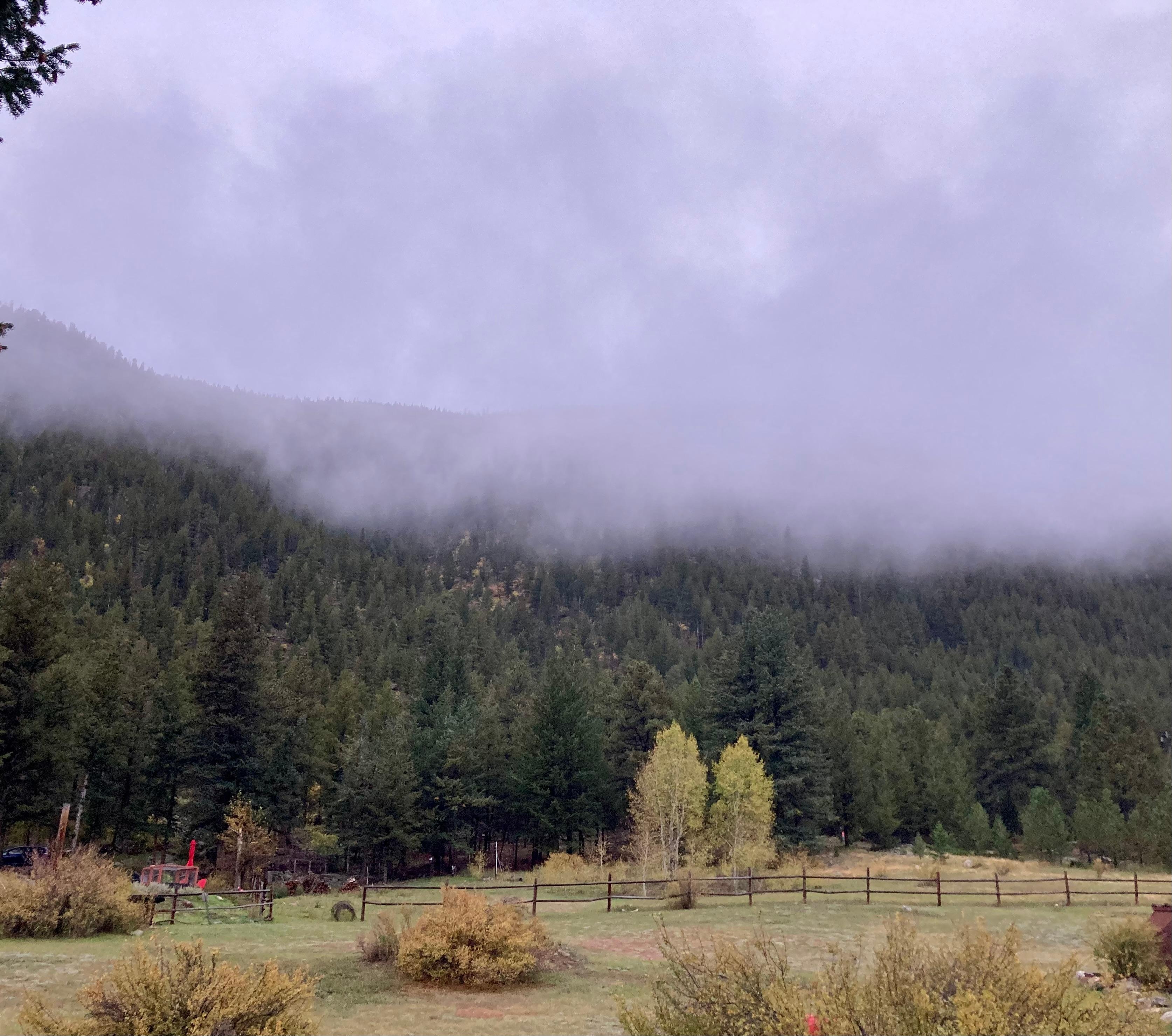 Our view from the back porch/deck.