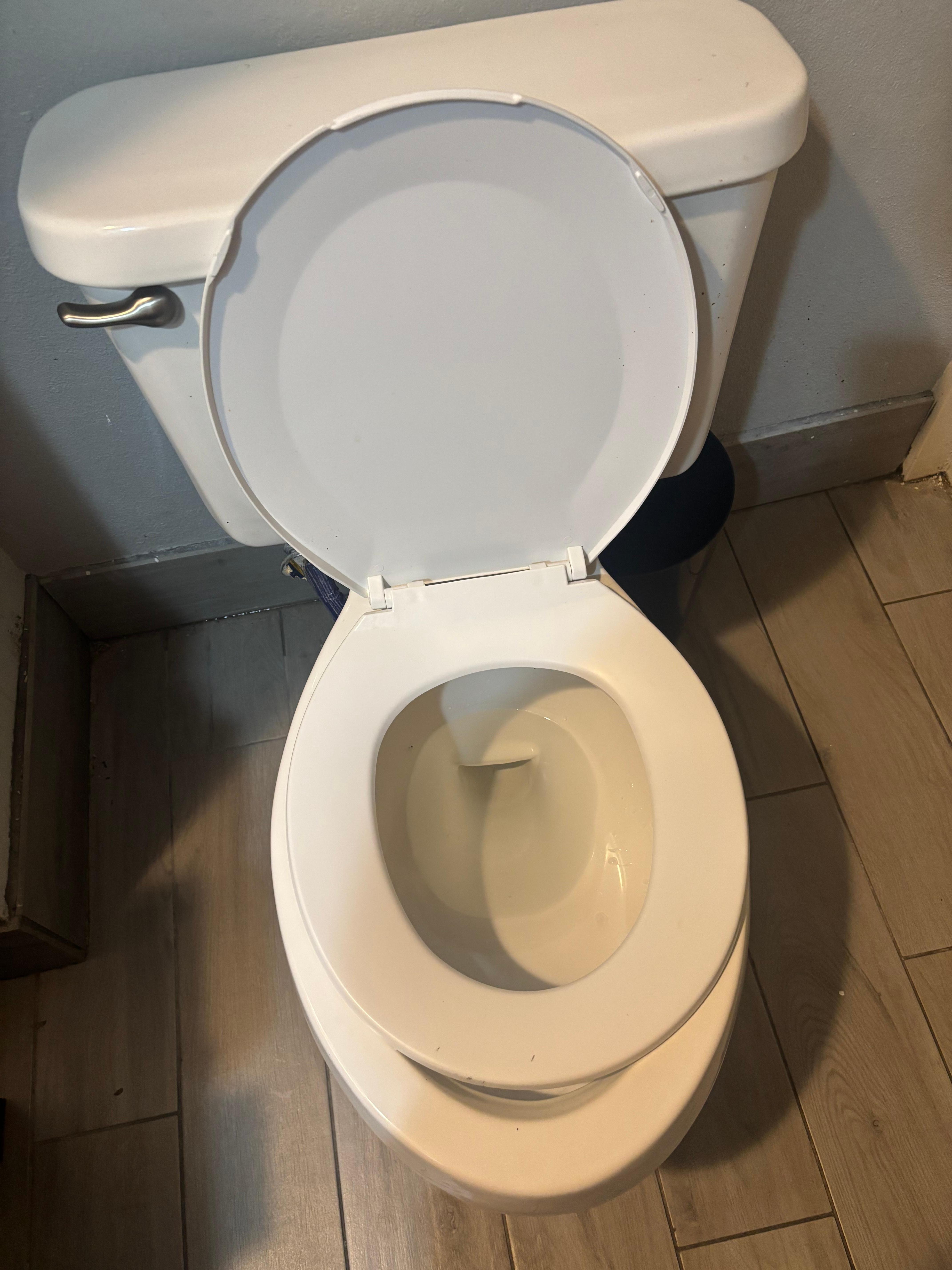 Non working toilet. 