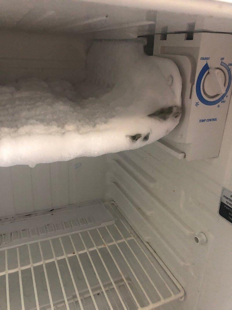 Mold in fridge 