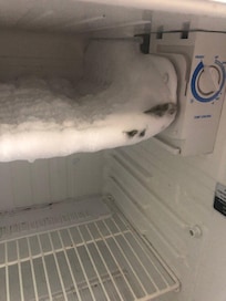 Mold in fridge