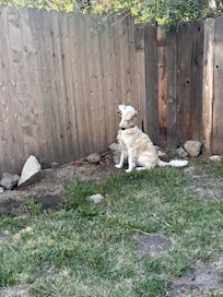 Entertaining Squirrels