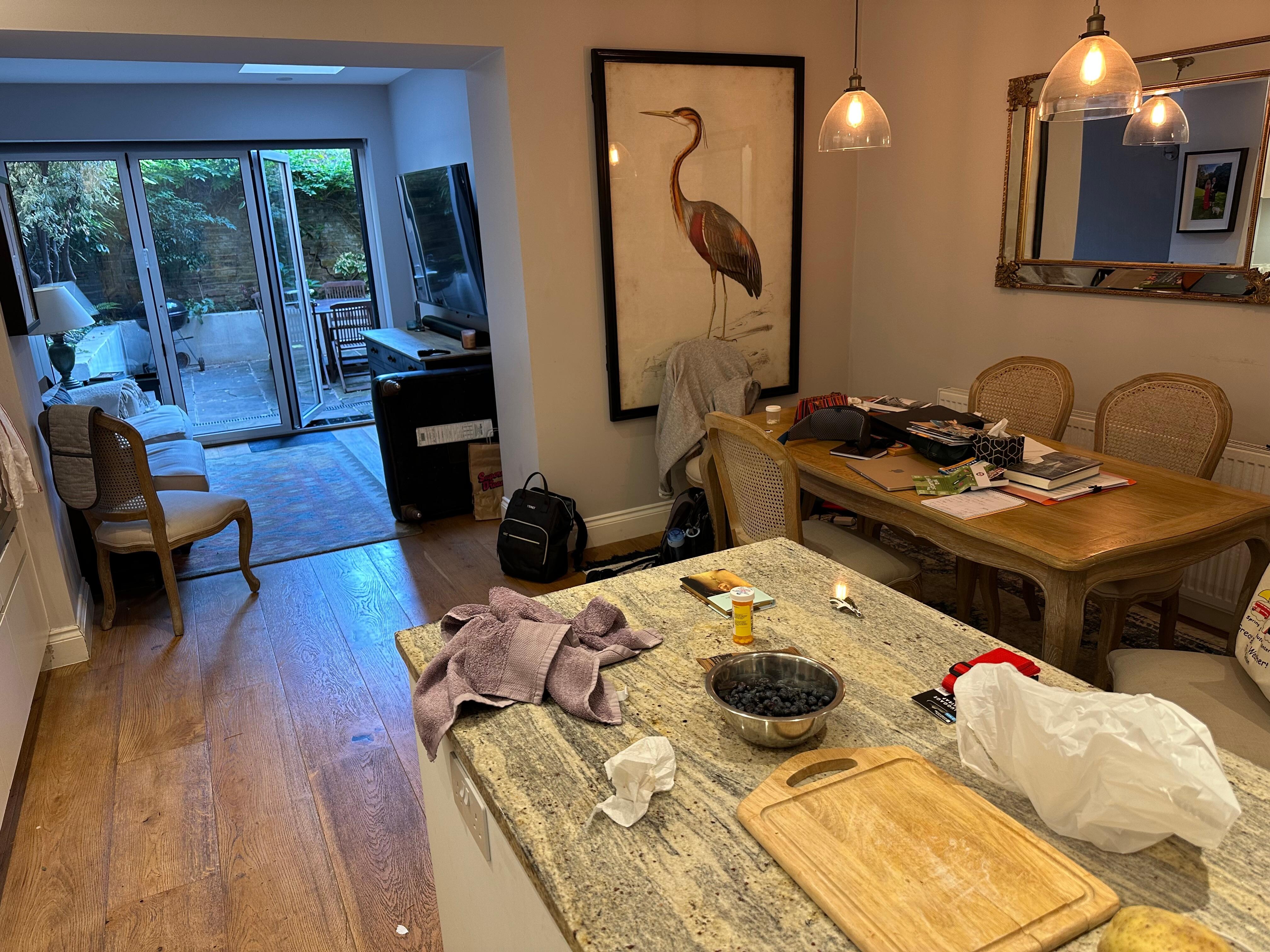 Flat in active use !! Very practical space. Fresh blueberries from a Portobello rd vendor.