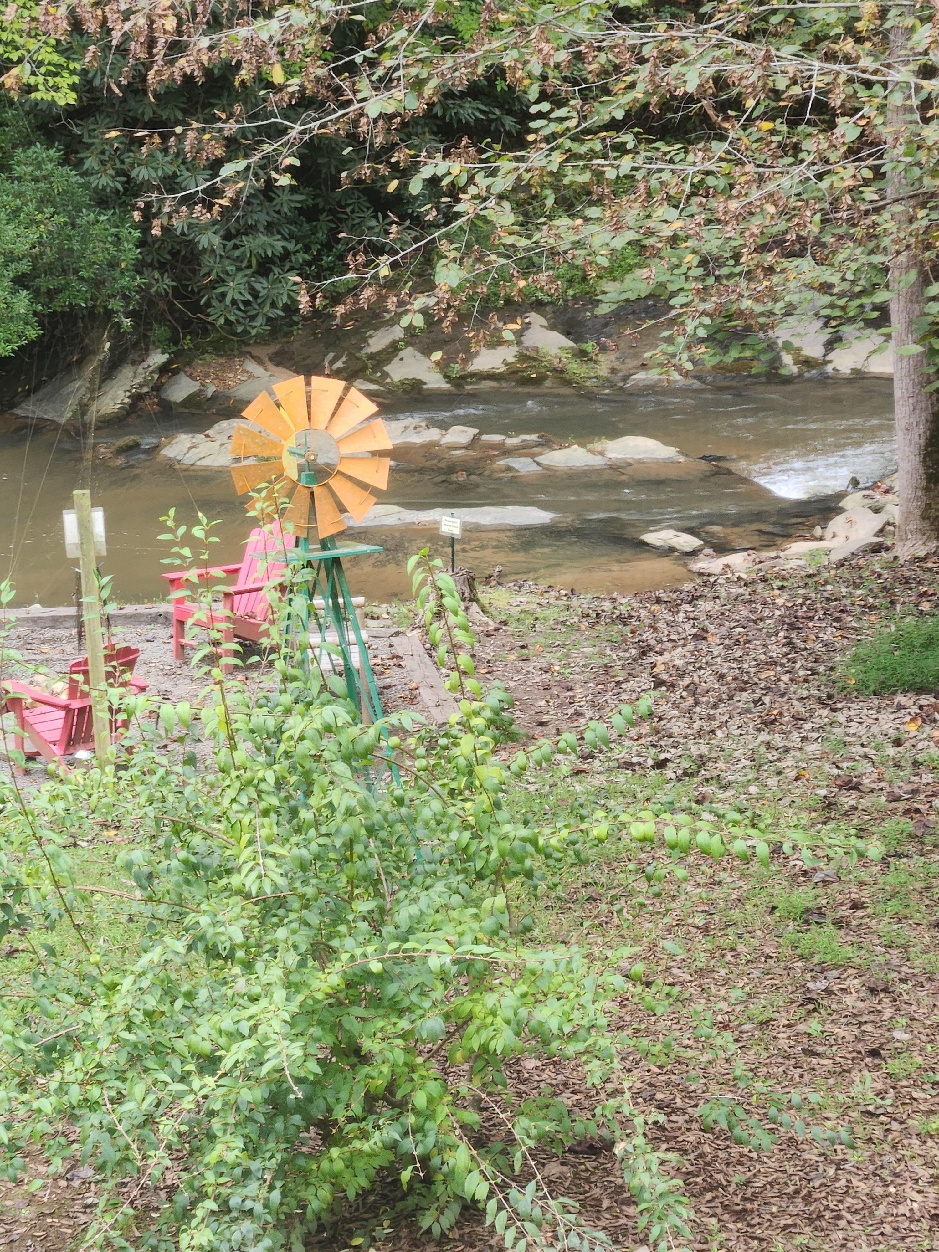 From the screened porch looking at the creek.
