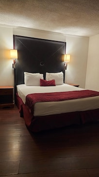 Loved the lighting above the bed.