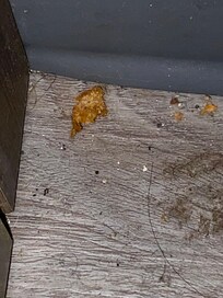 Just one photo of floor behind the bed.
