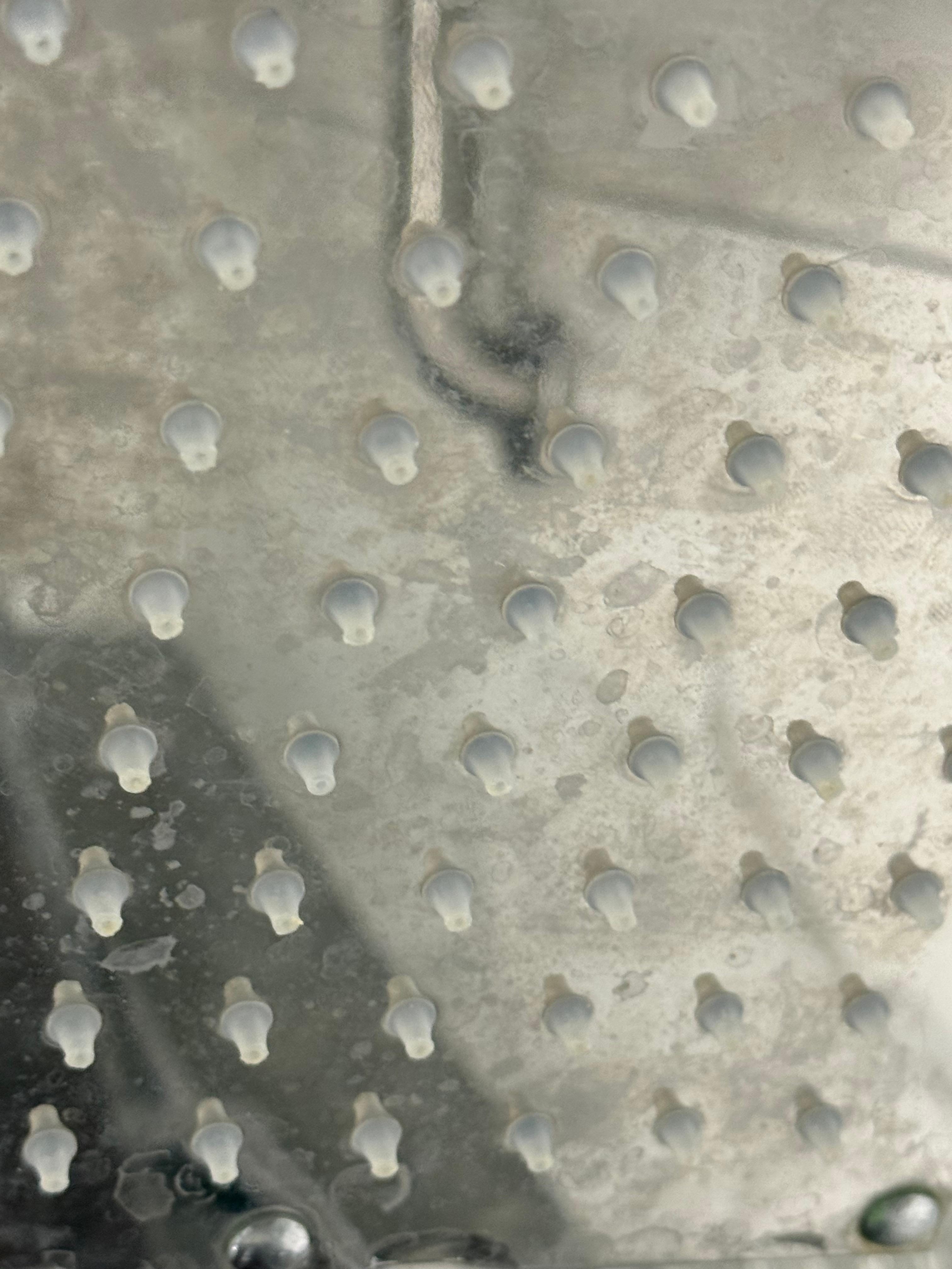 Crusty shower head skievy feeling and slow water pressure