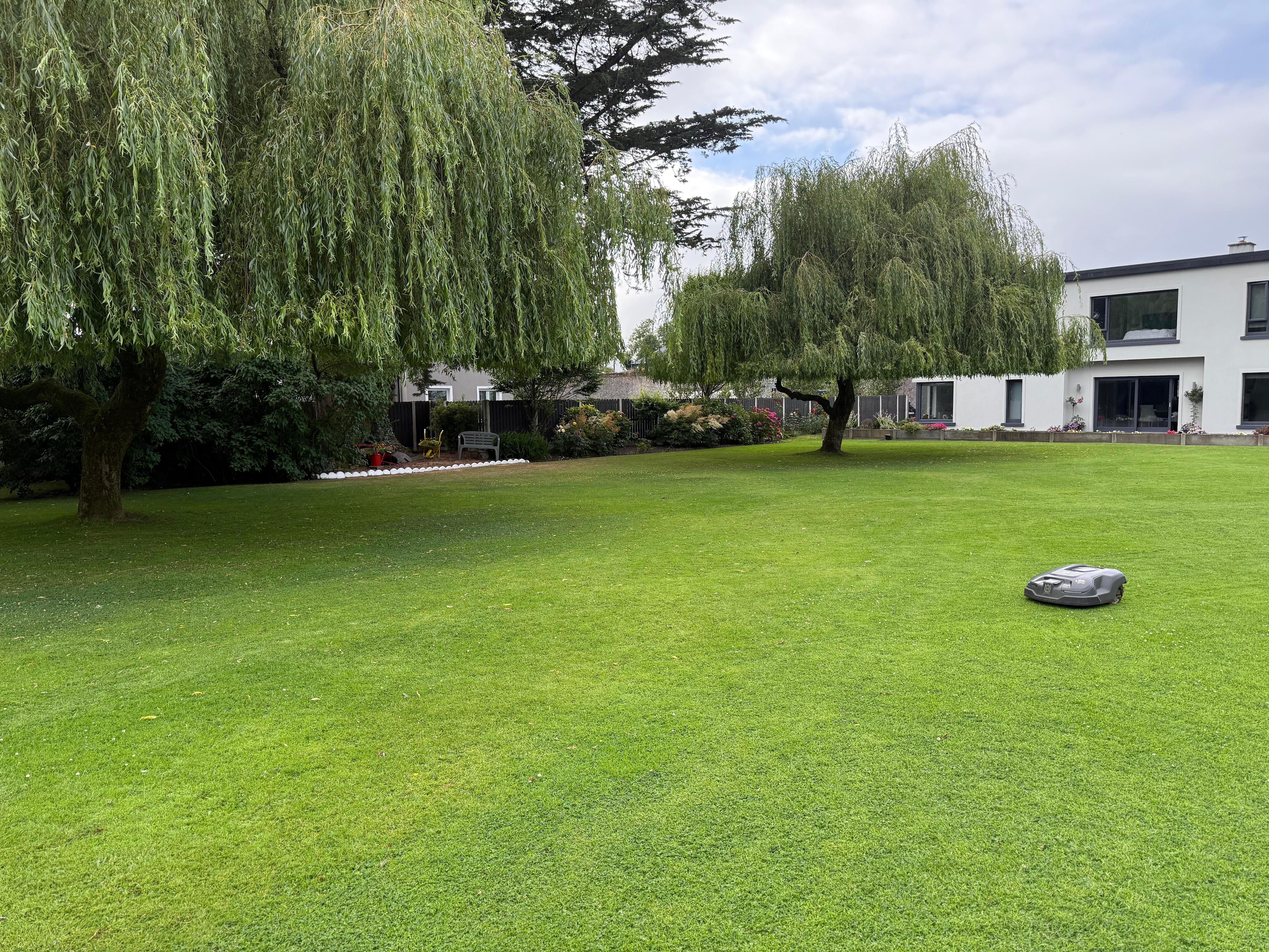 The garden and the lawn robot.