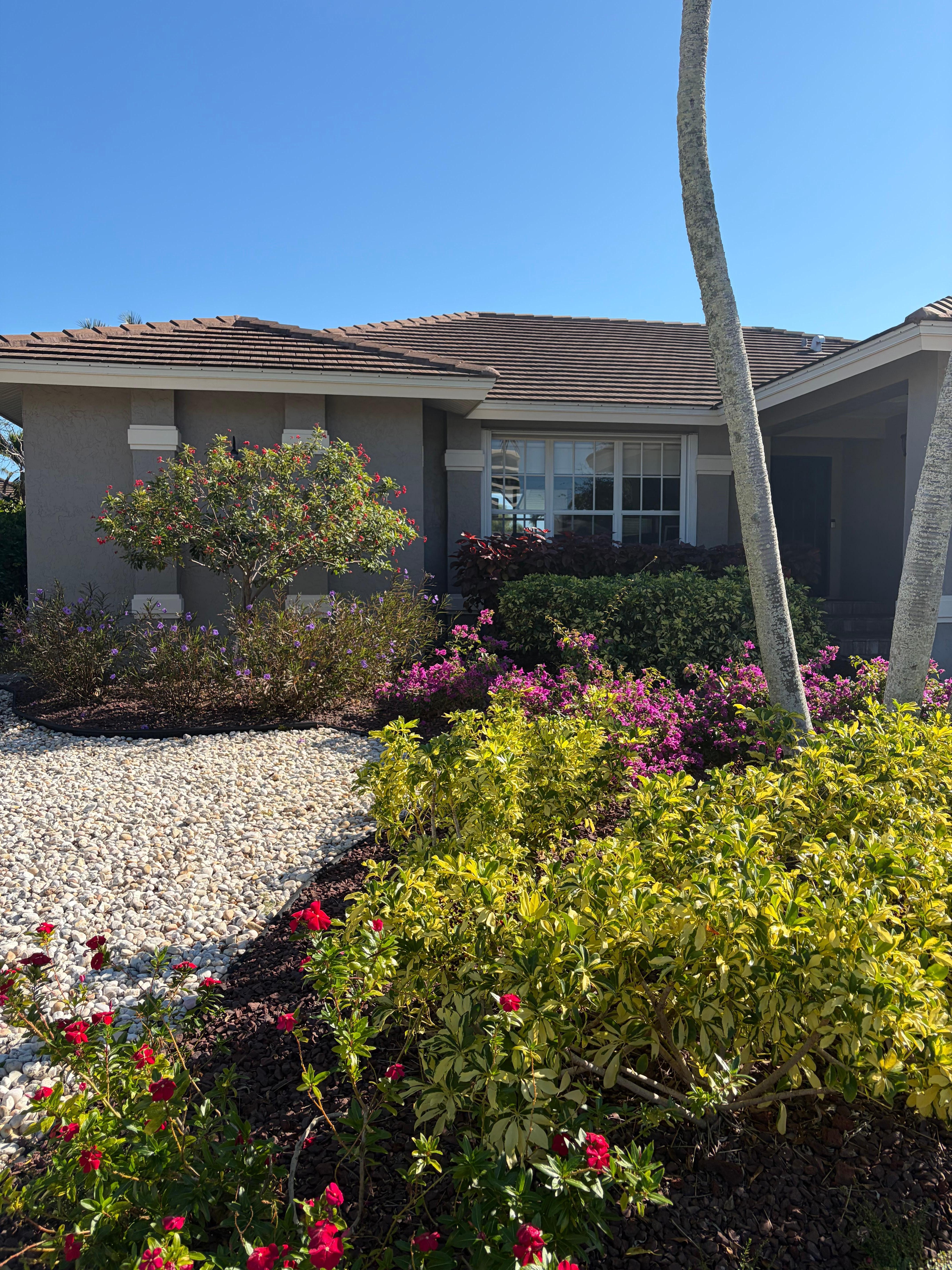 Beautiful Landscaping 