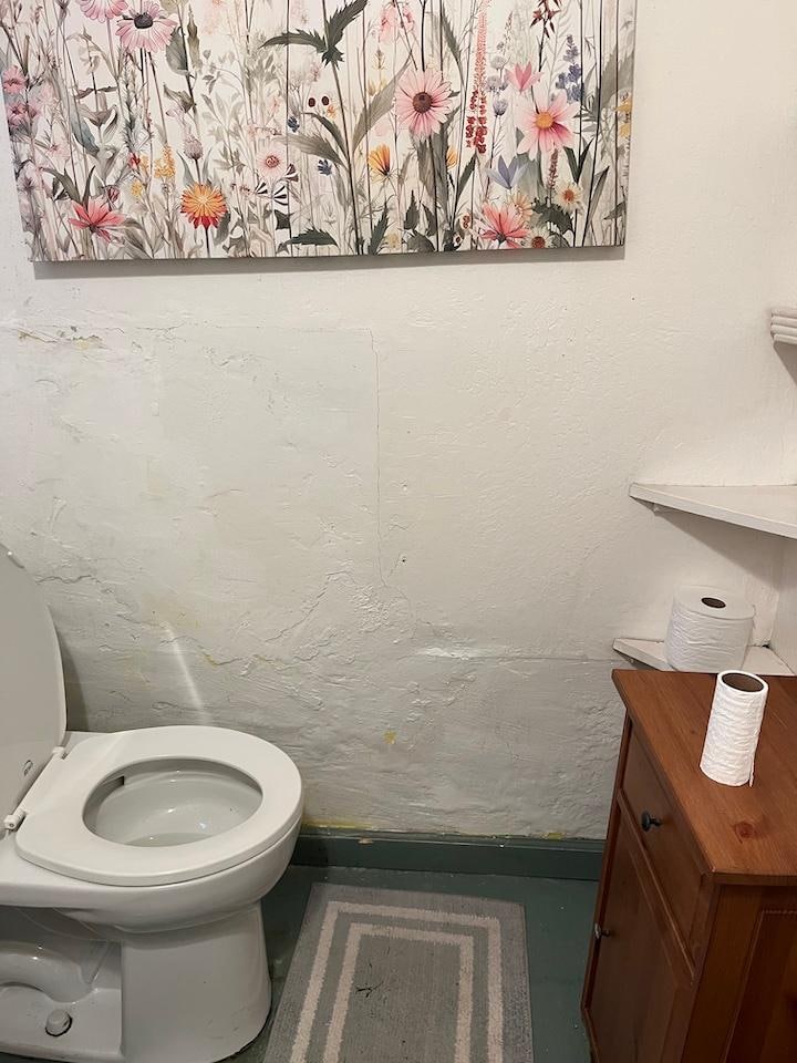 wall finish falling off