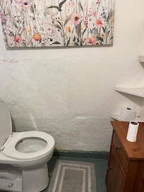 wall finish falling off