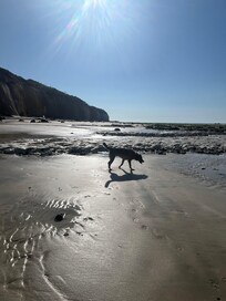 Meer bei Ebbe