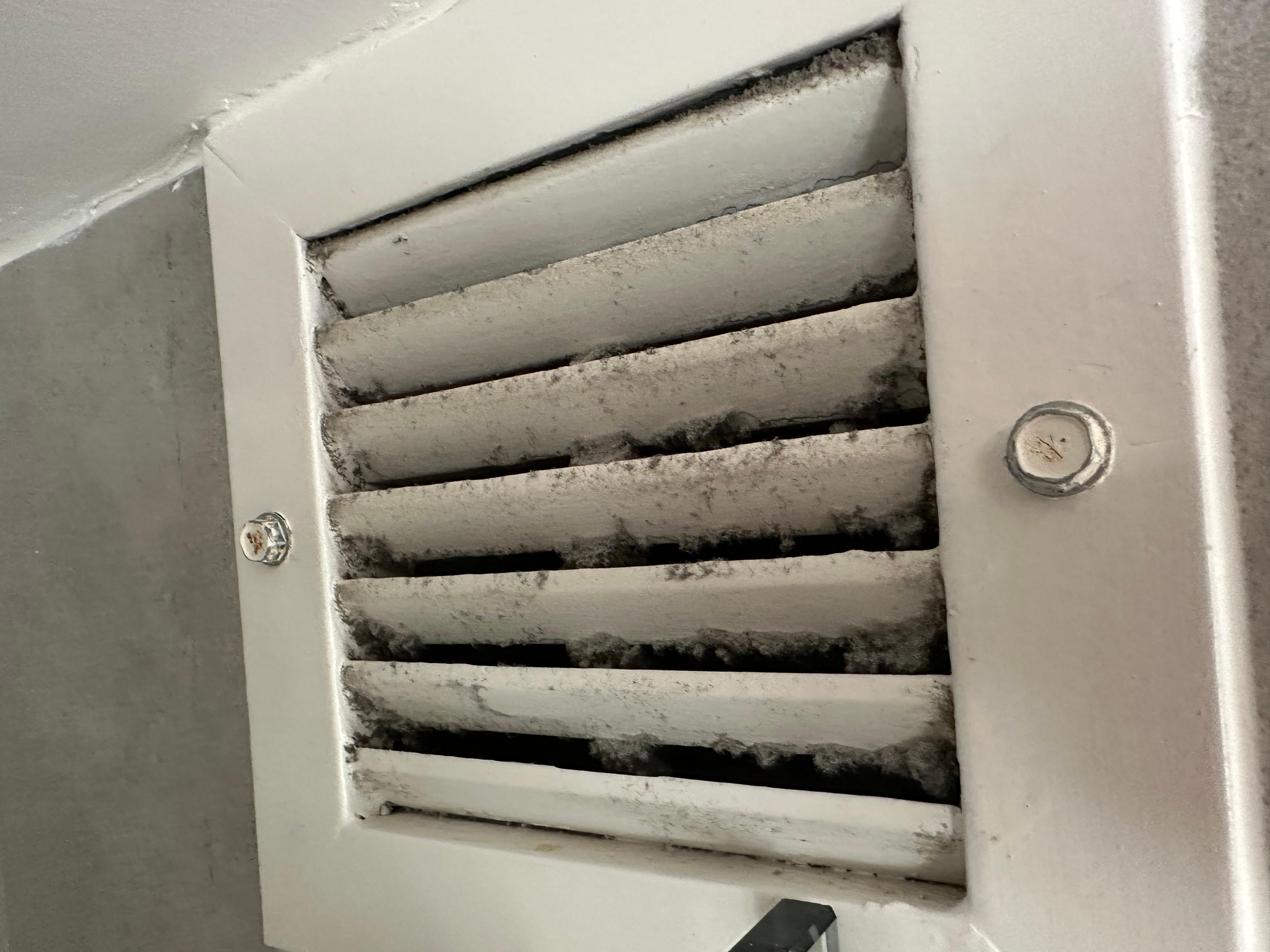 Dirt and dust in the vents 