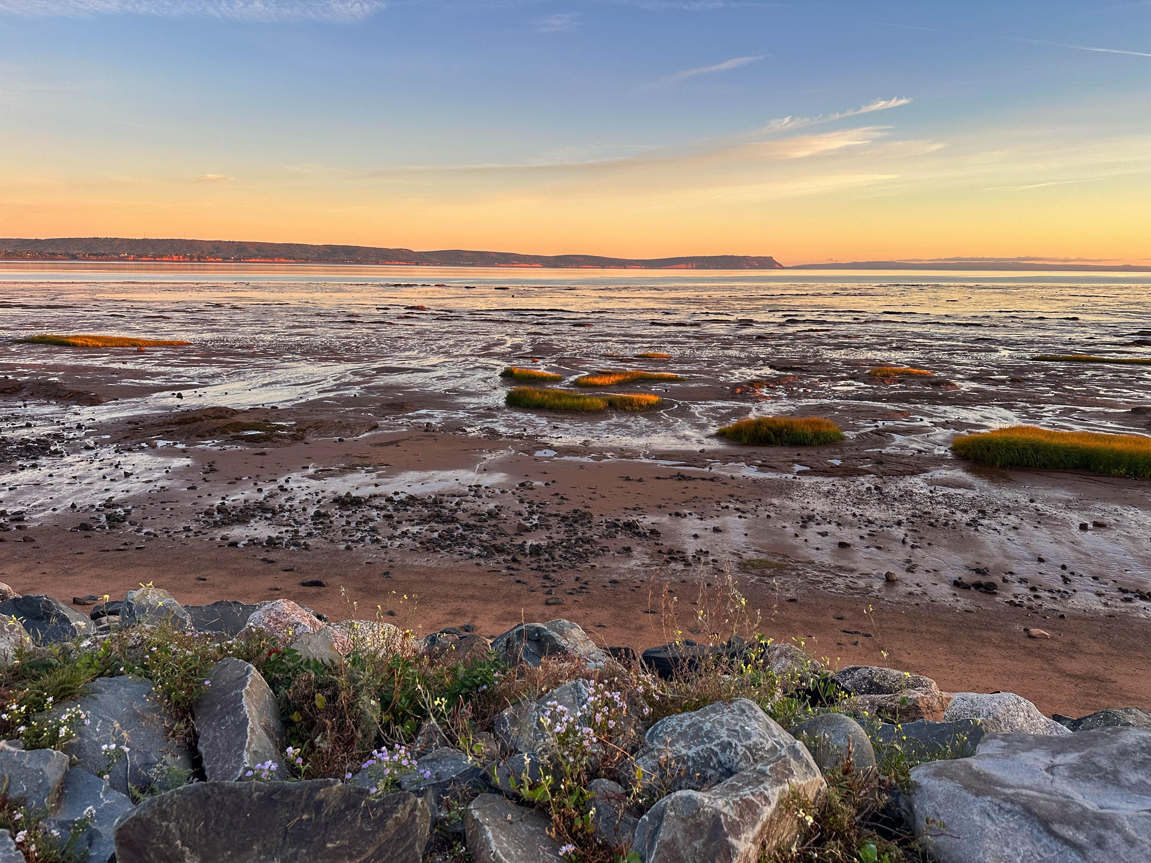 Our backyard at the Breeze Motel -- phenomenal!