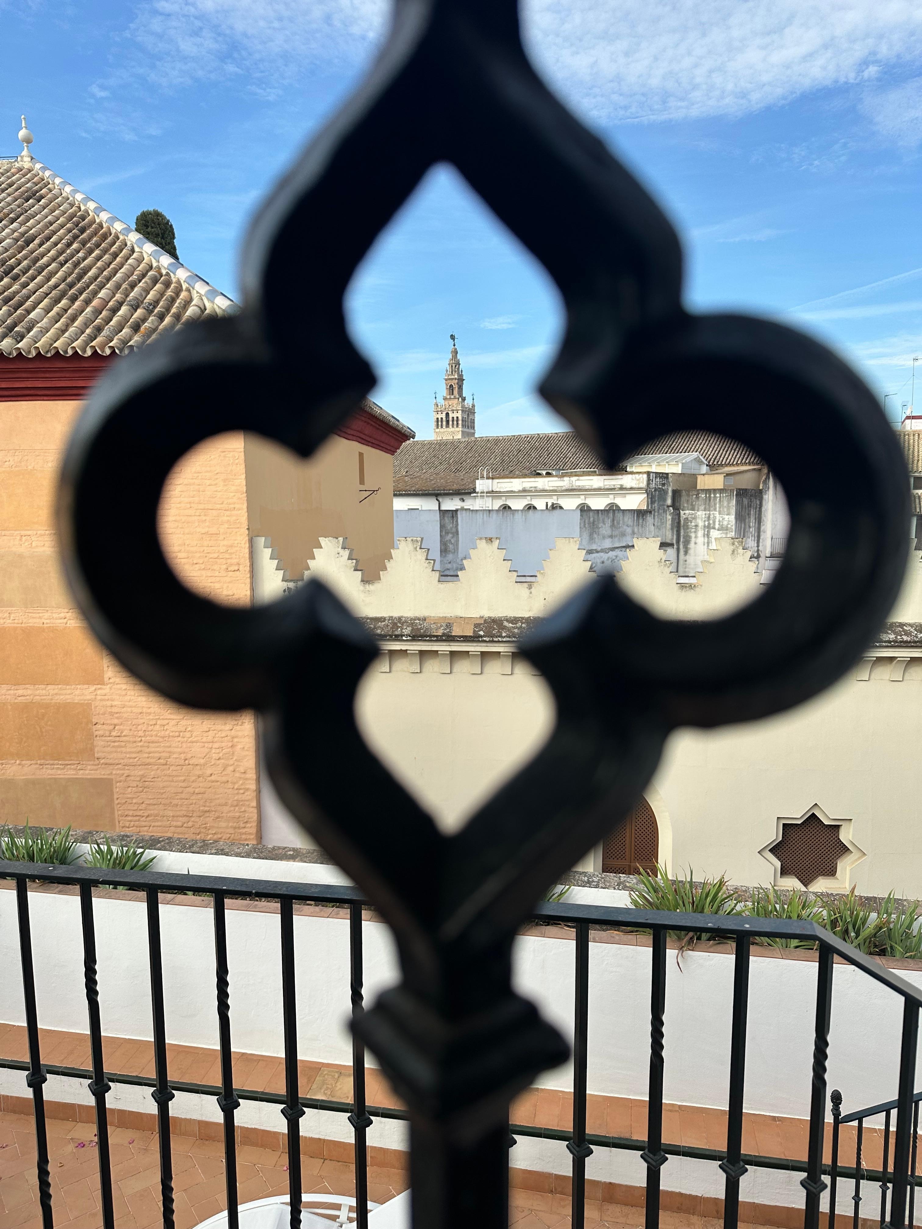 From the rooftop terrace. 