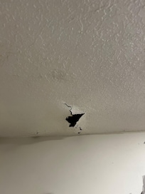 Hole in sealing