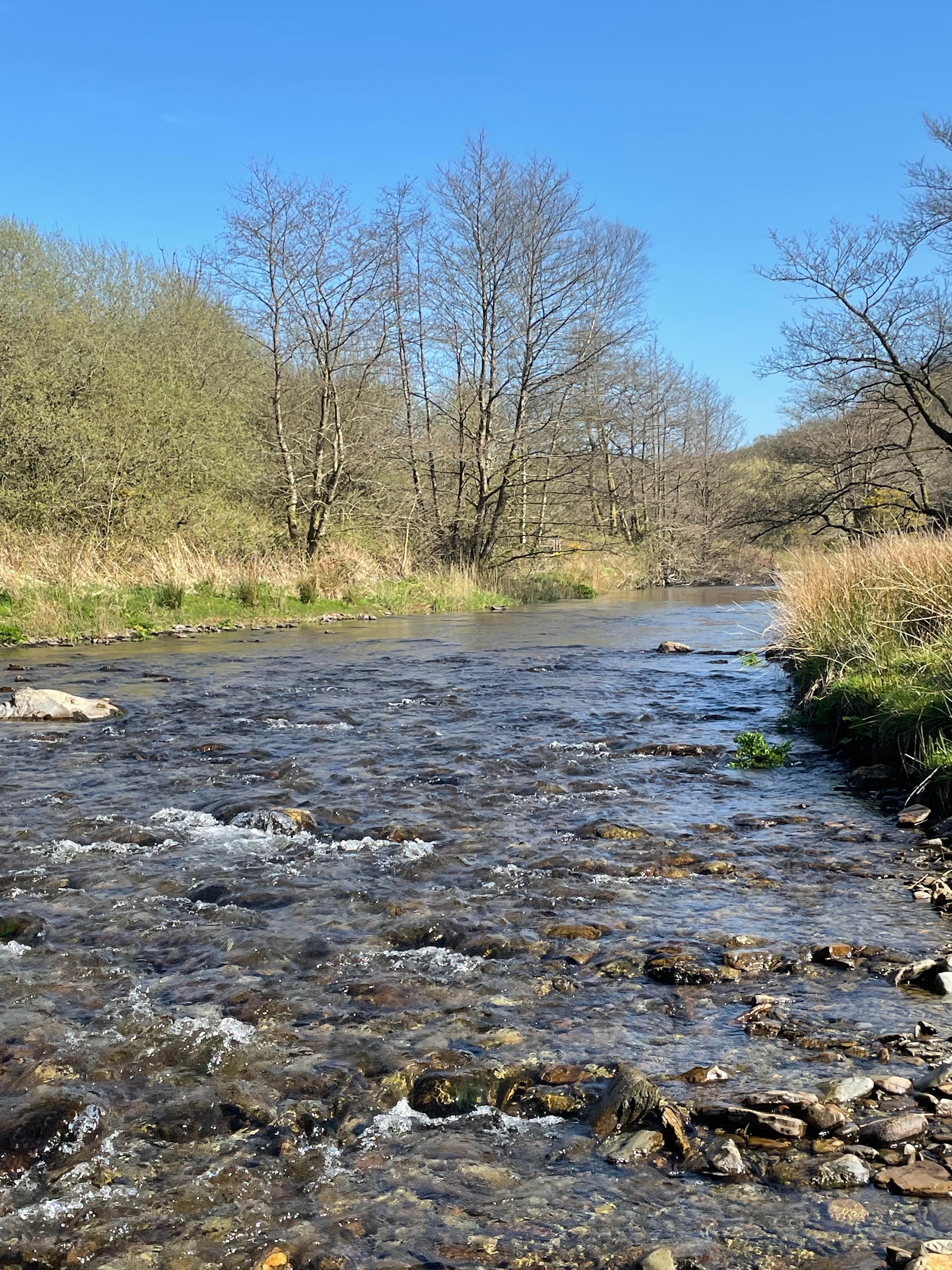 River right by the cottage. Great for stone skimming.