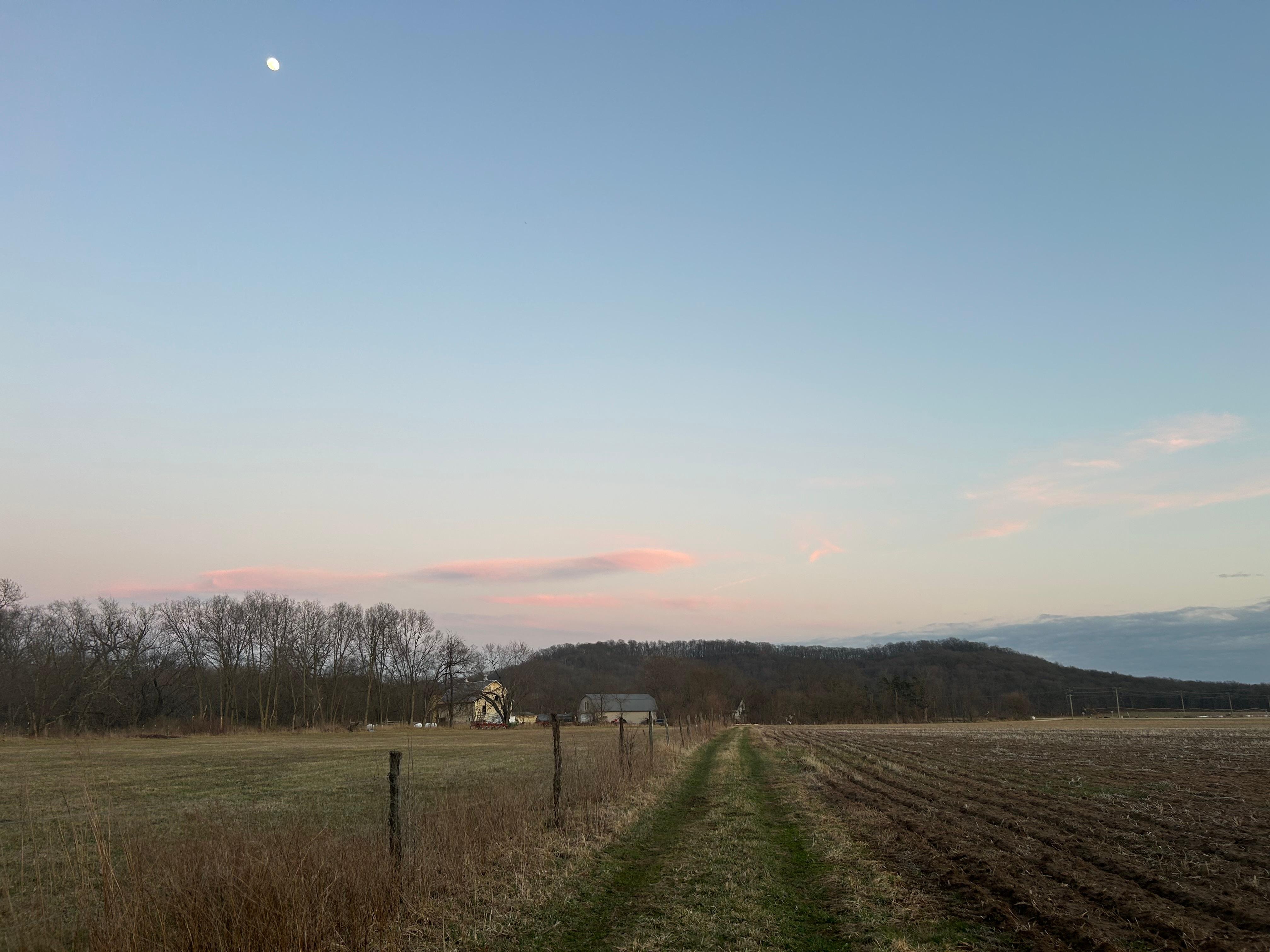 View of the farm walking back from the slough.