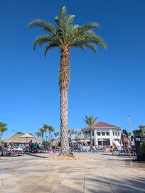 Closer of the two pool complex area with bar, lazy river, and slides.  
Great drinks and music!