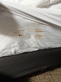 I don’t even want to know what that is.