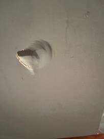 Wall of cottage outside of bathroom