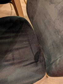 Crumbs before we arrived