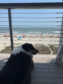 #1 fan