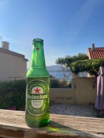 The view