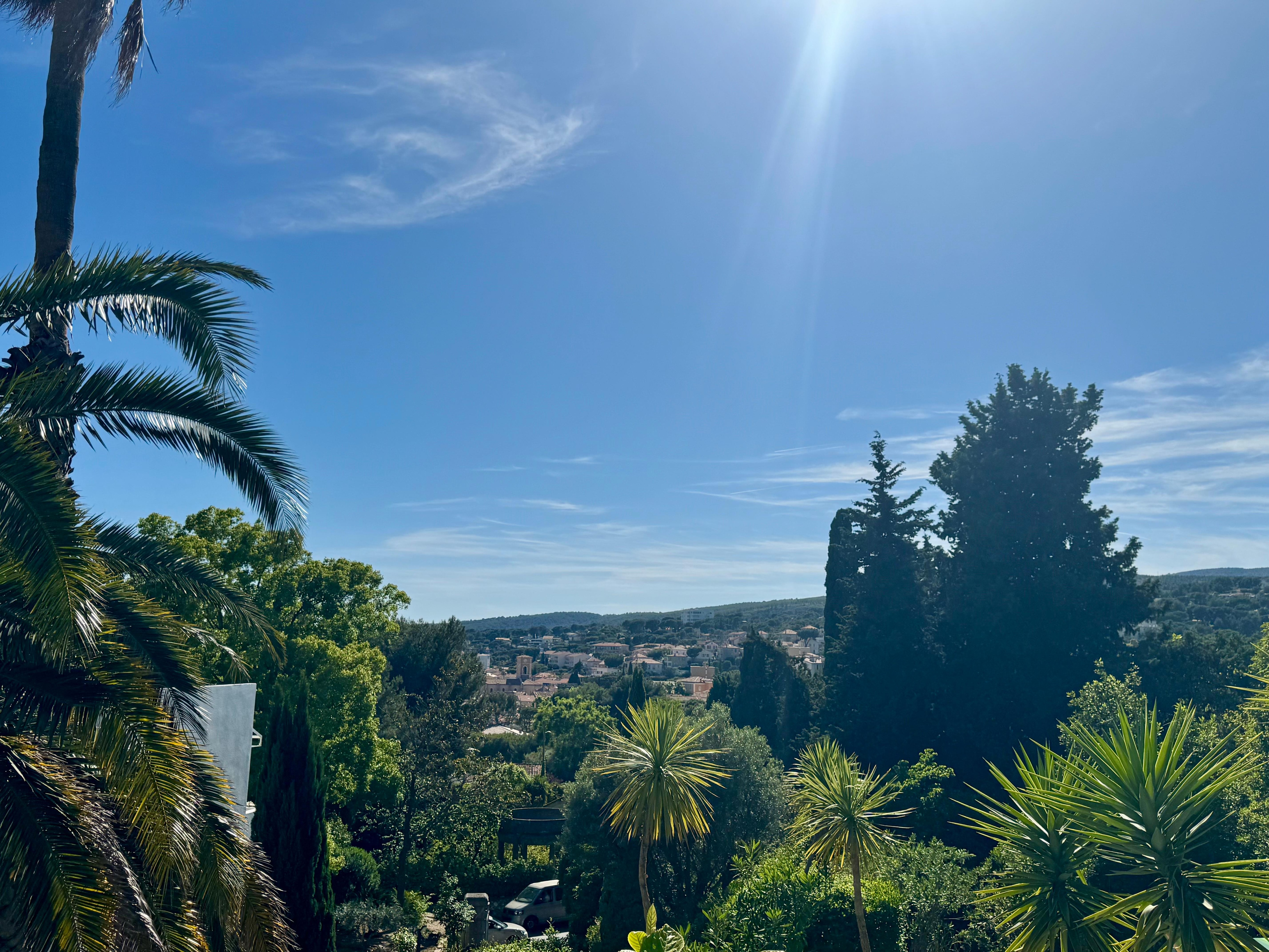 A room with a view!