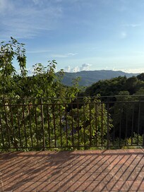 Blick vom Haus.