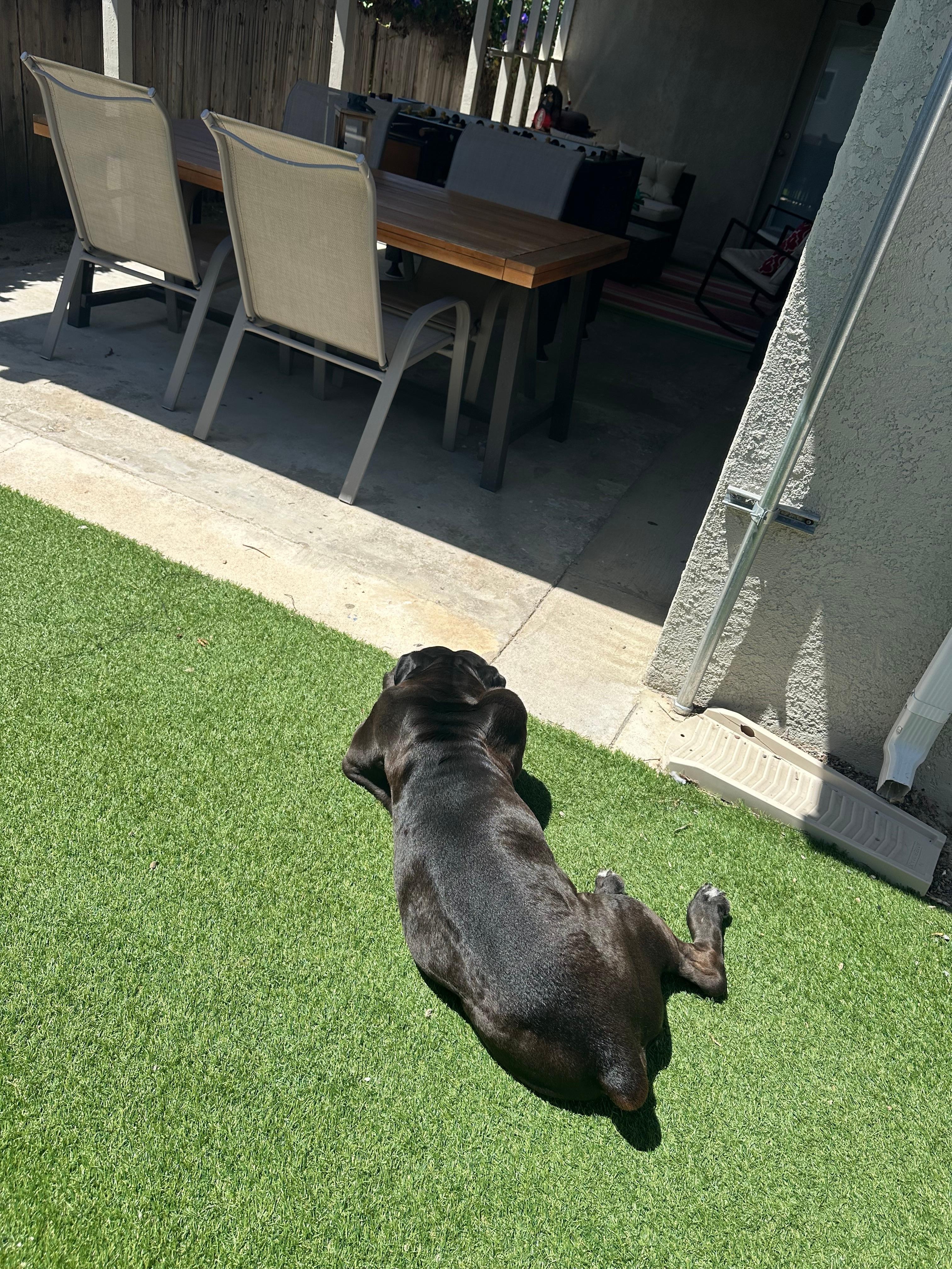 Sunbathing in the yard space