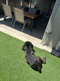 Sunbathing in the yard space