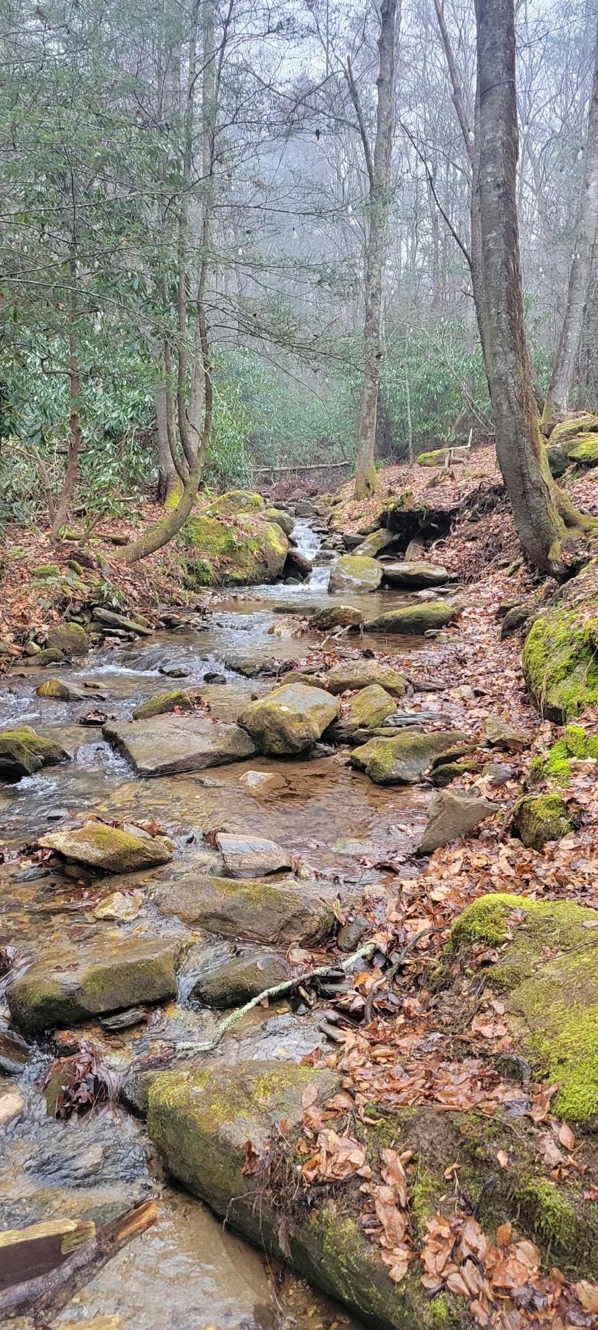 Peaceful brook on the property 