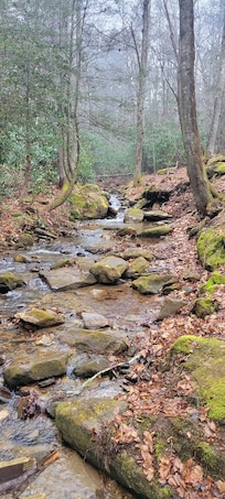 Peaceful brook on the property