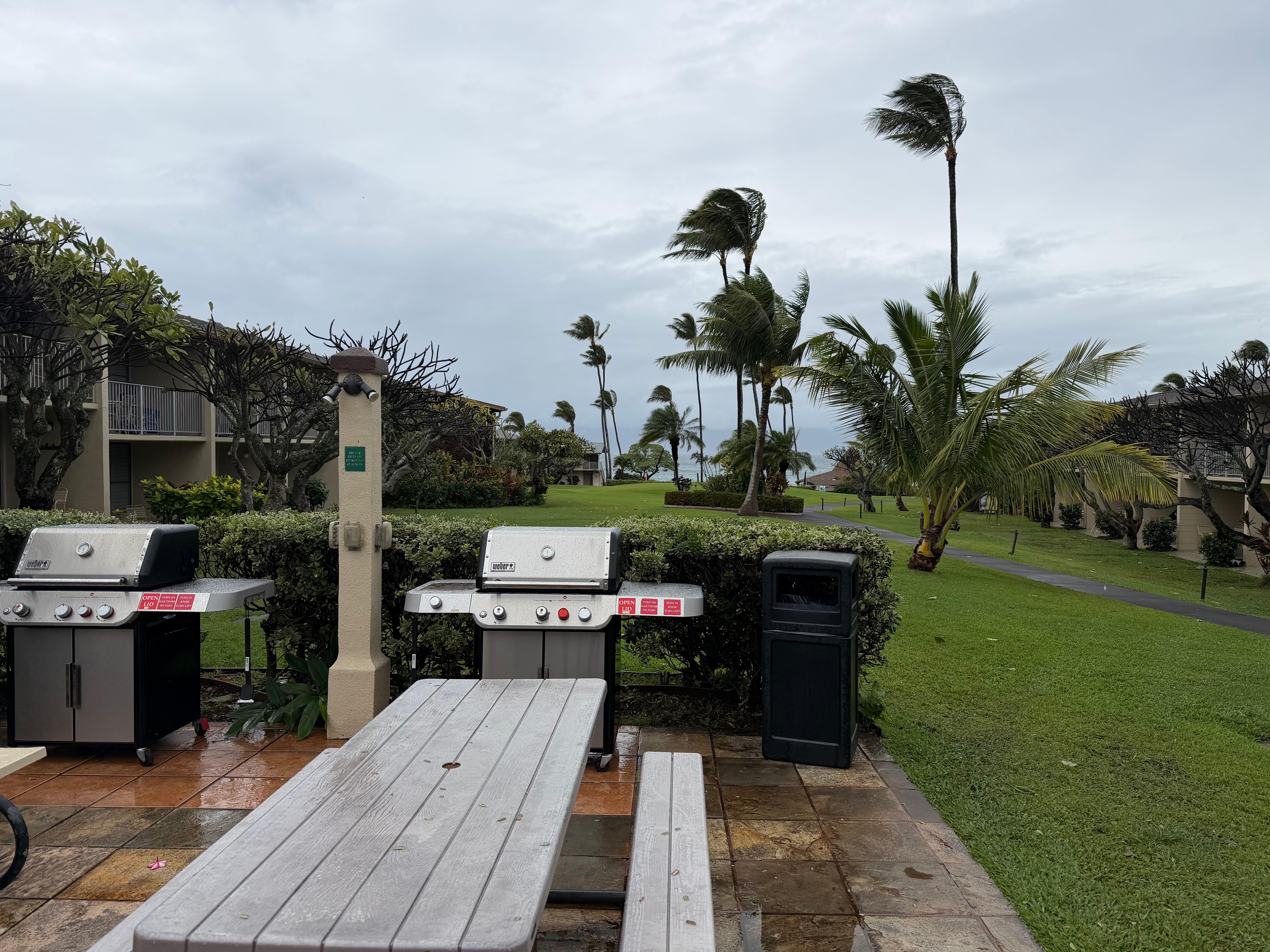 Community BBQ gas grills and picnic tables. Used during a 24 hour power outage- very handy! 