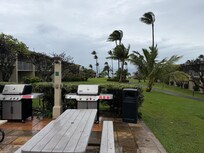 Community BBQ gas grills and picnic tables. Used during a 24 hour power outage- very handy!