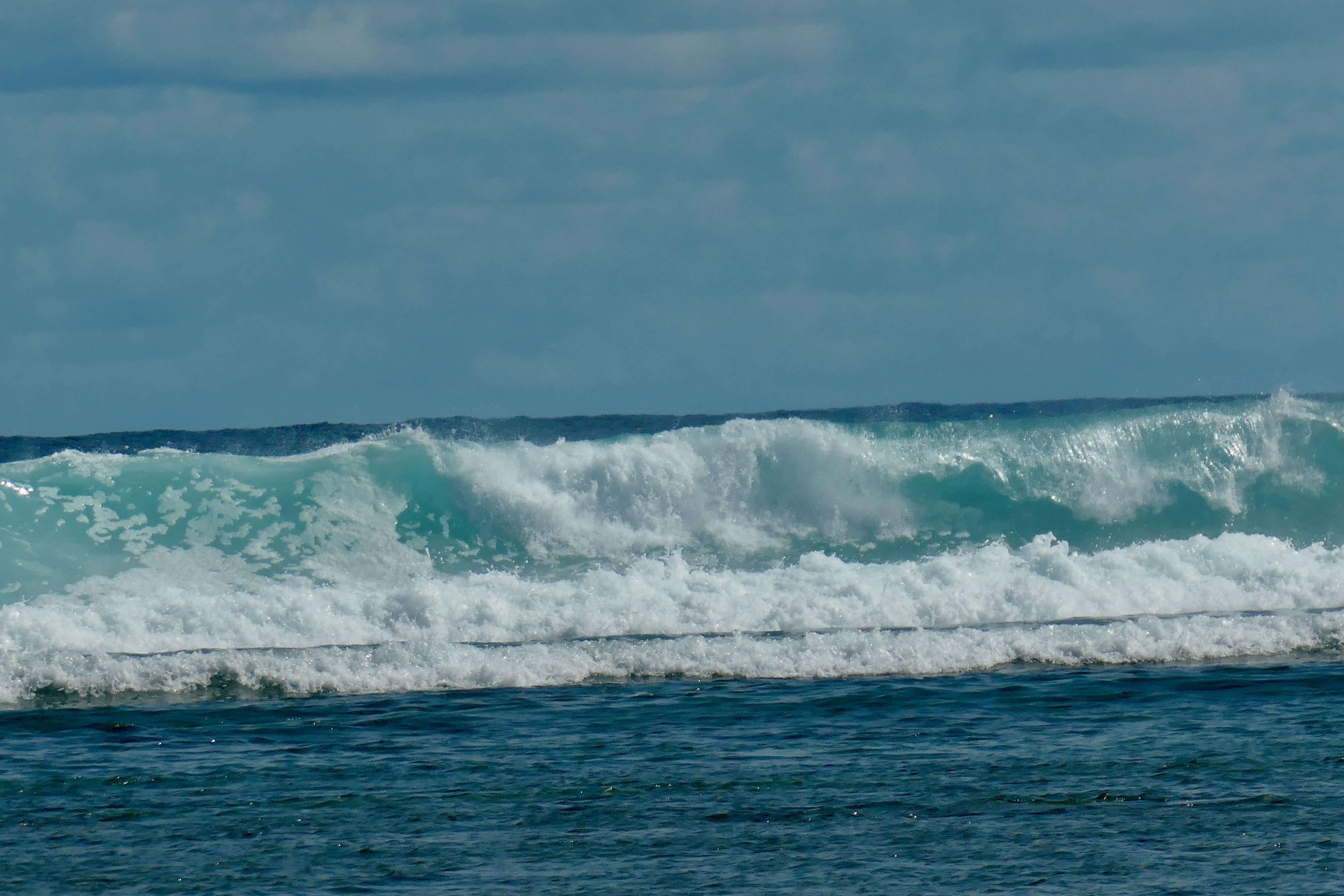 Waves on ref-Aroa