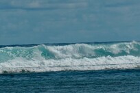 Waves on ref-Aroa
