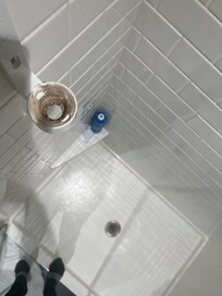 Inside the shower soap holder which was empty and fell off the wall