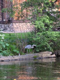 Sand crane on the riverside